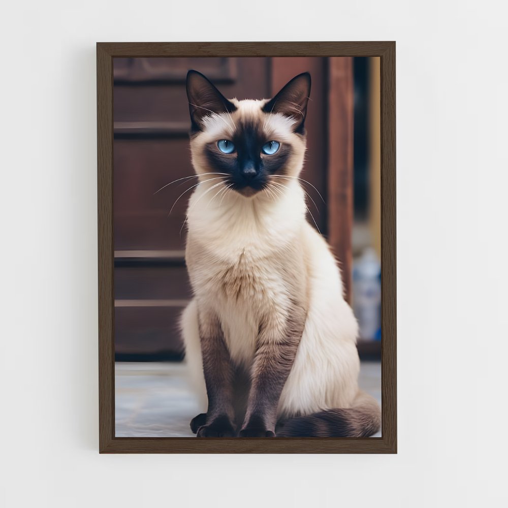 ap-siamese-4 cadre Bois foncé