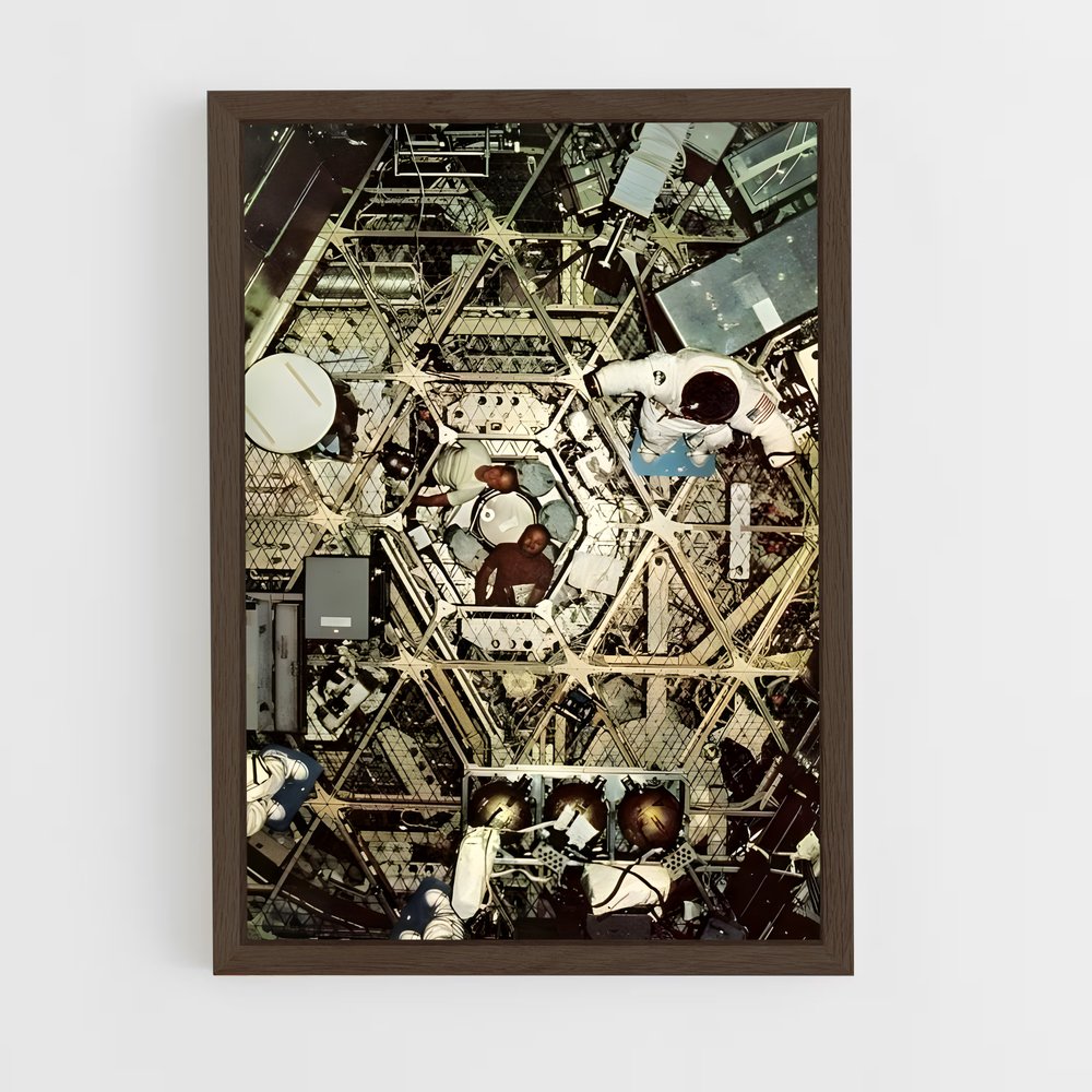 ap-skylab-1 cadre Bois foncé