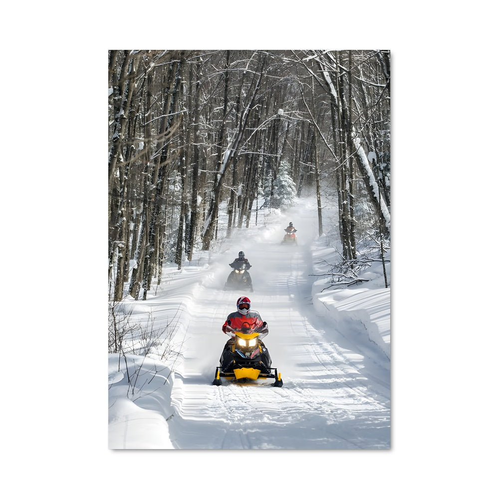 Poster Aventures Gelées