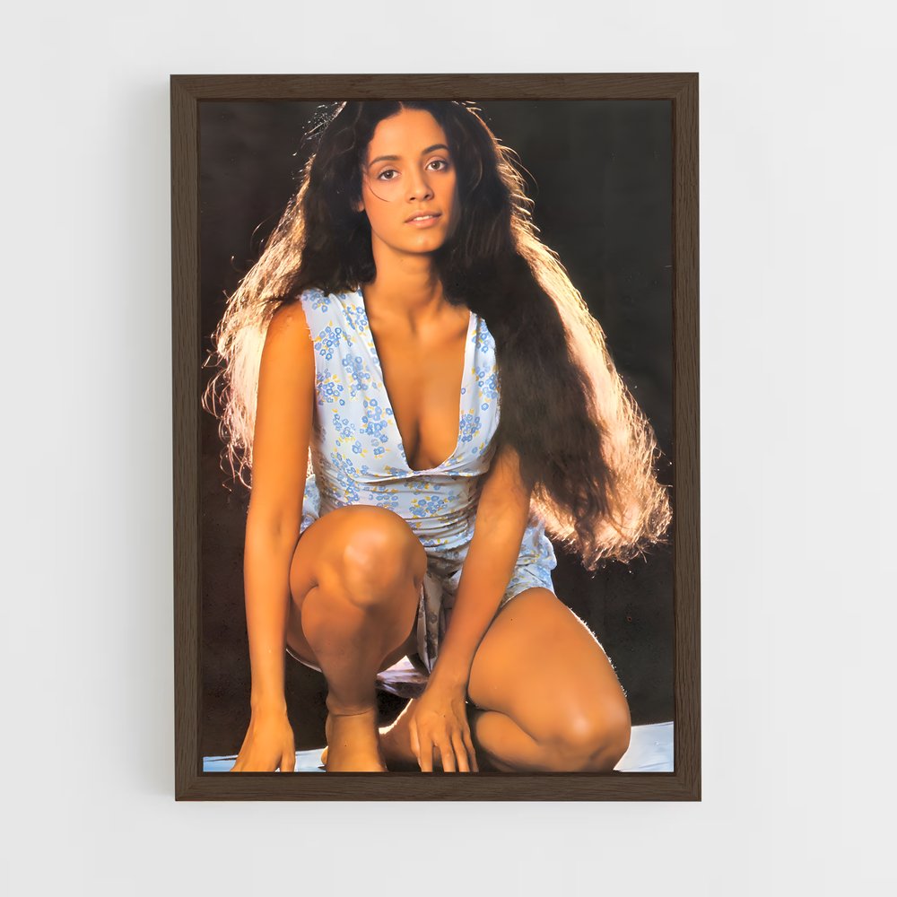 ap-sonia braga-5 cadre Bois foncé
