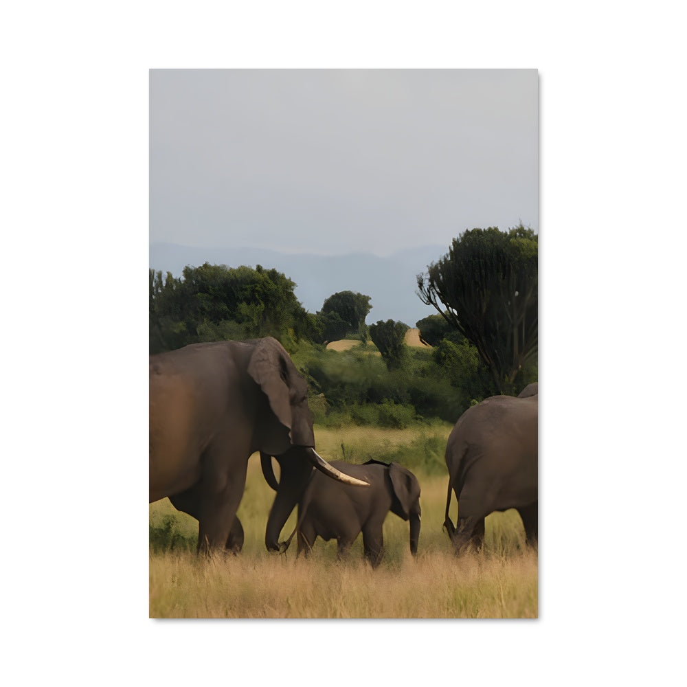 Poster La Troupe Élégante