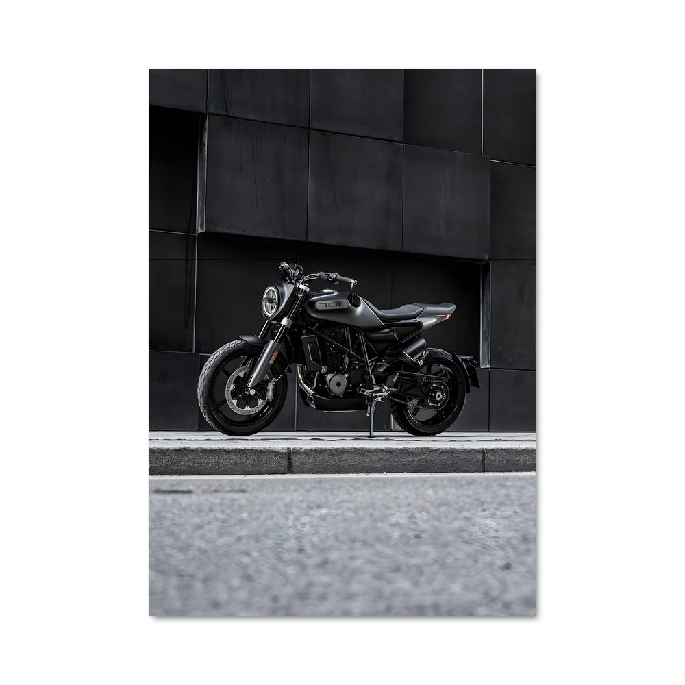 Poster L'Esprit de la Svartpilen