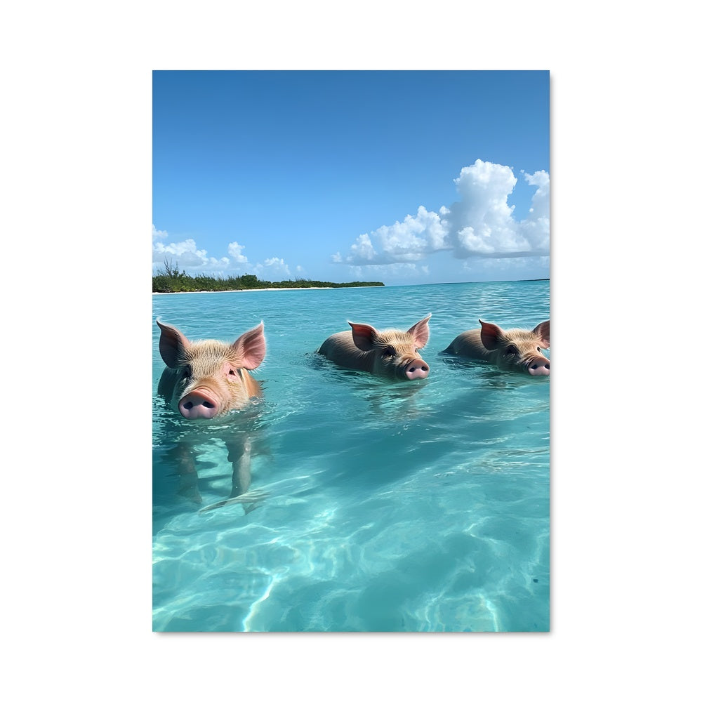 Poster Nageurs Cochon