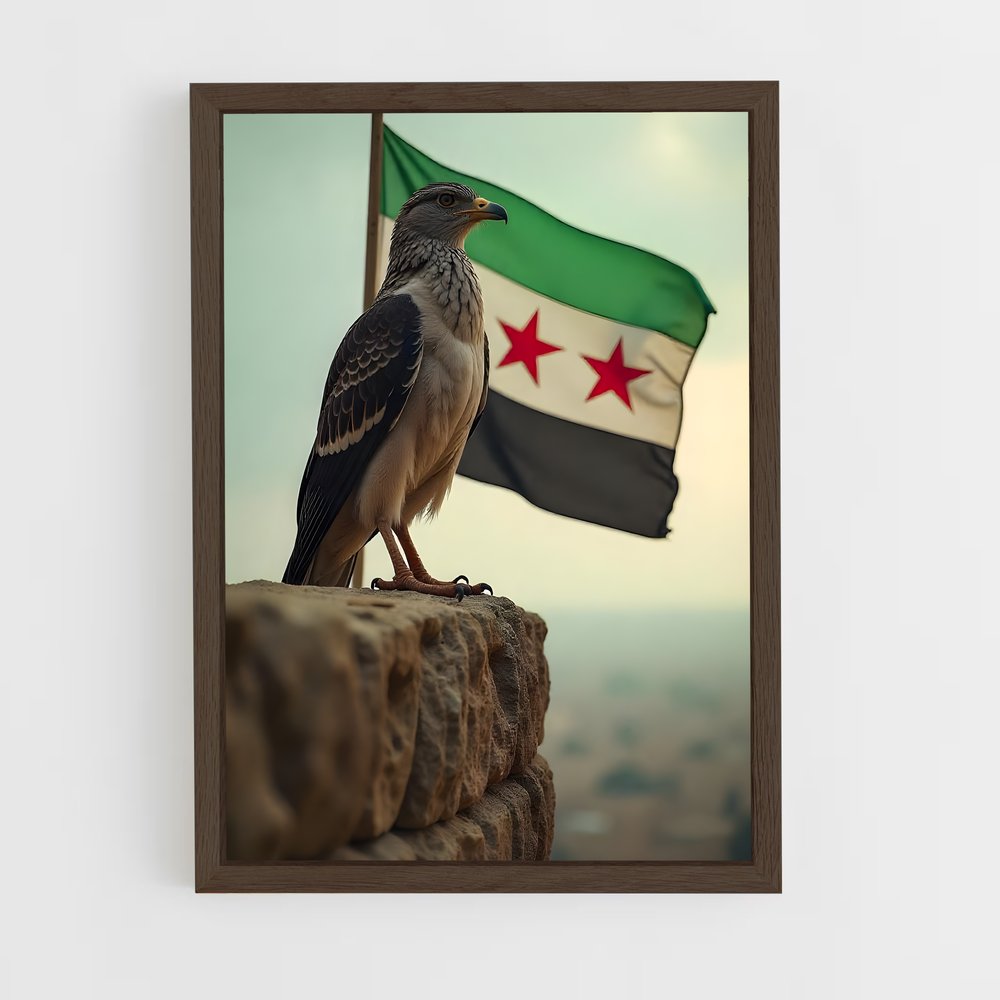 ap-syria flag-5 cadre Bois foncé