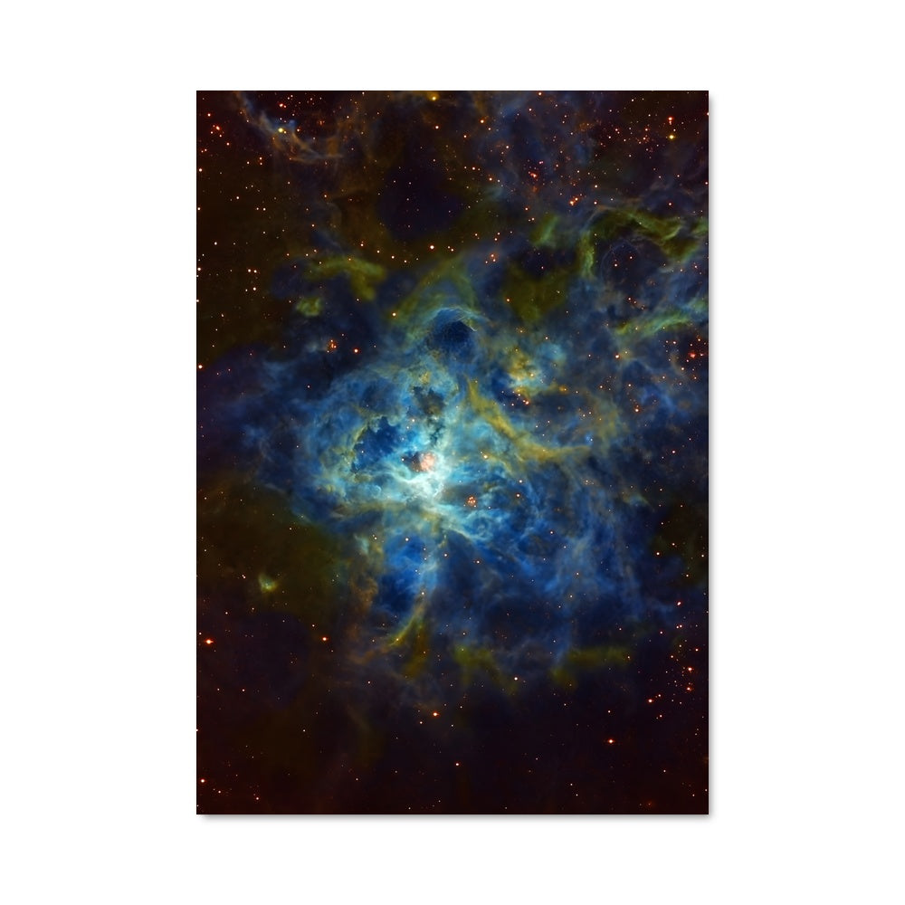 Poster L'Étoile de Tara