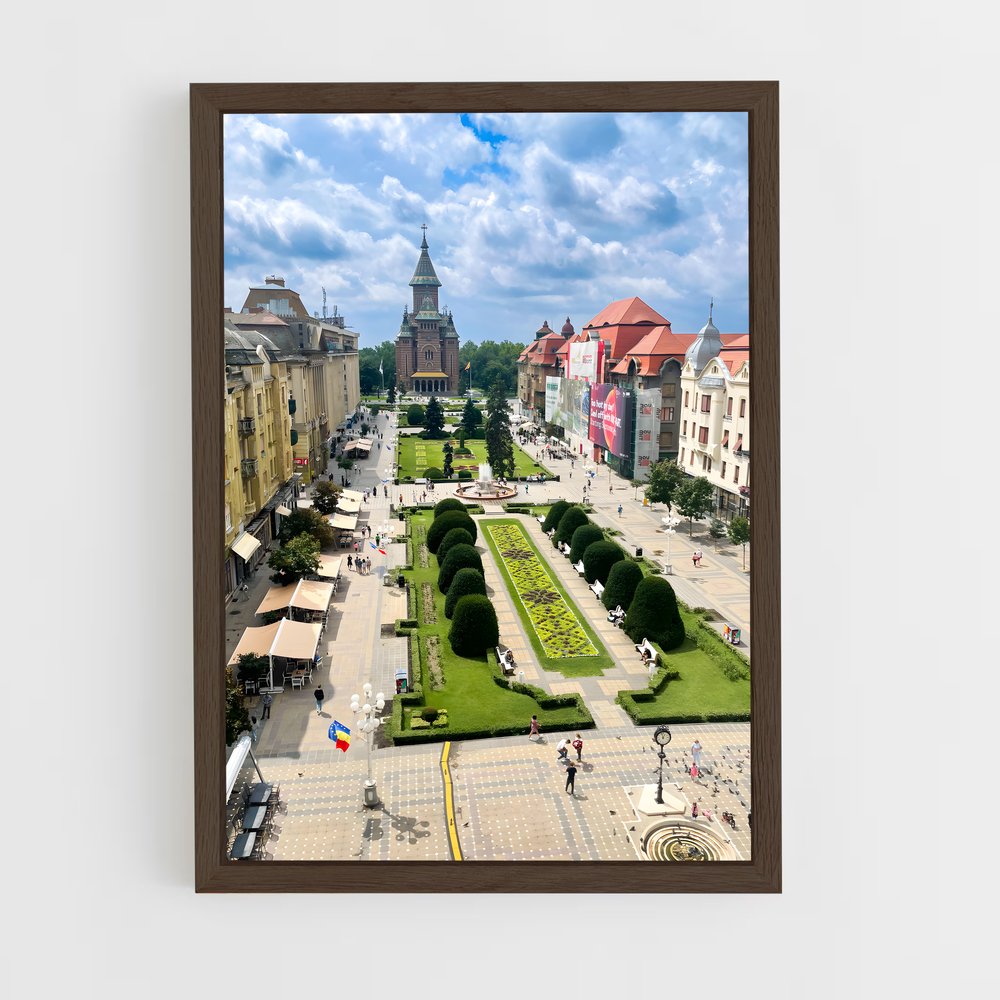 ap-timisoara-3 cadre Bois foncé