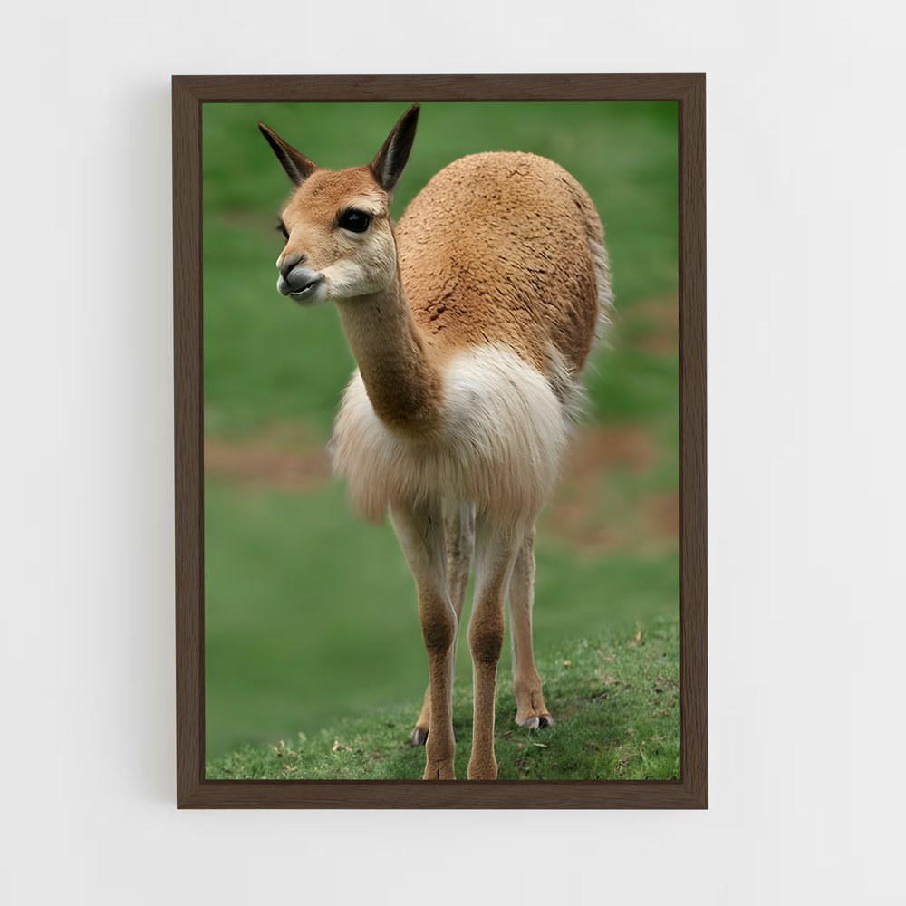 ap-vicuna-2 cadre Bois foncé
