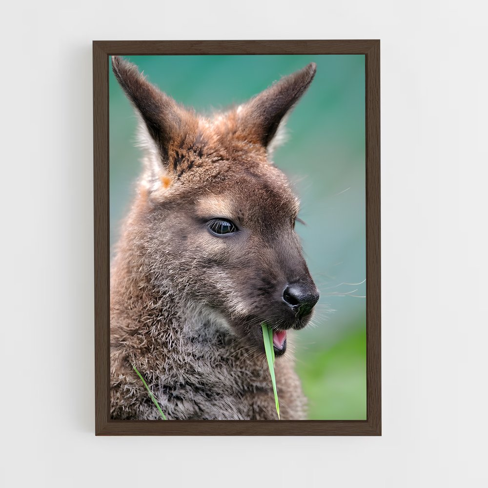 ap-wallaby-3 cadre Bois foncé