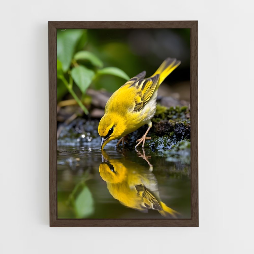 ap-warbler-6 cadre Bois foncé