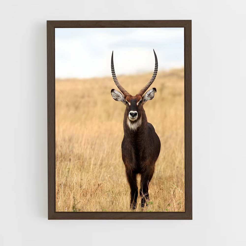 ap-waterbuck-2 cadre Bois foncé