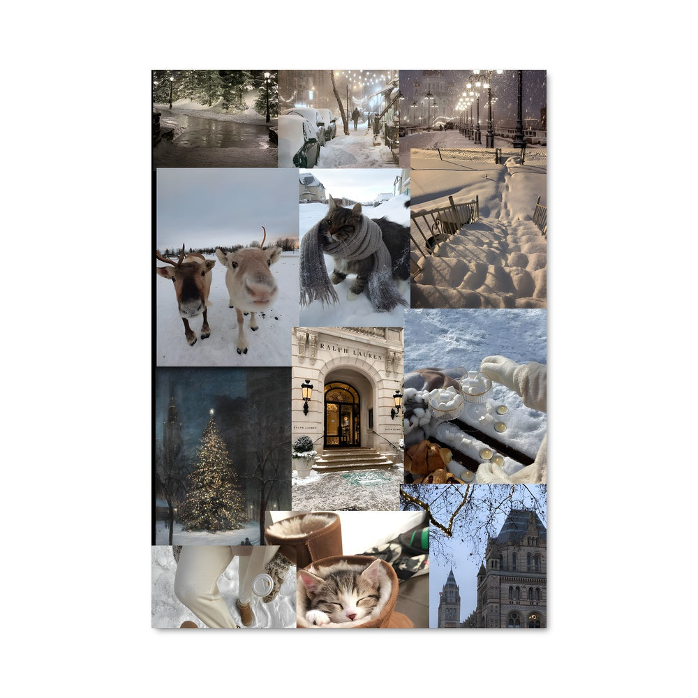 Poster Complices de Neige