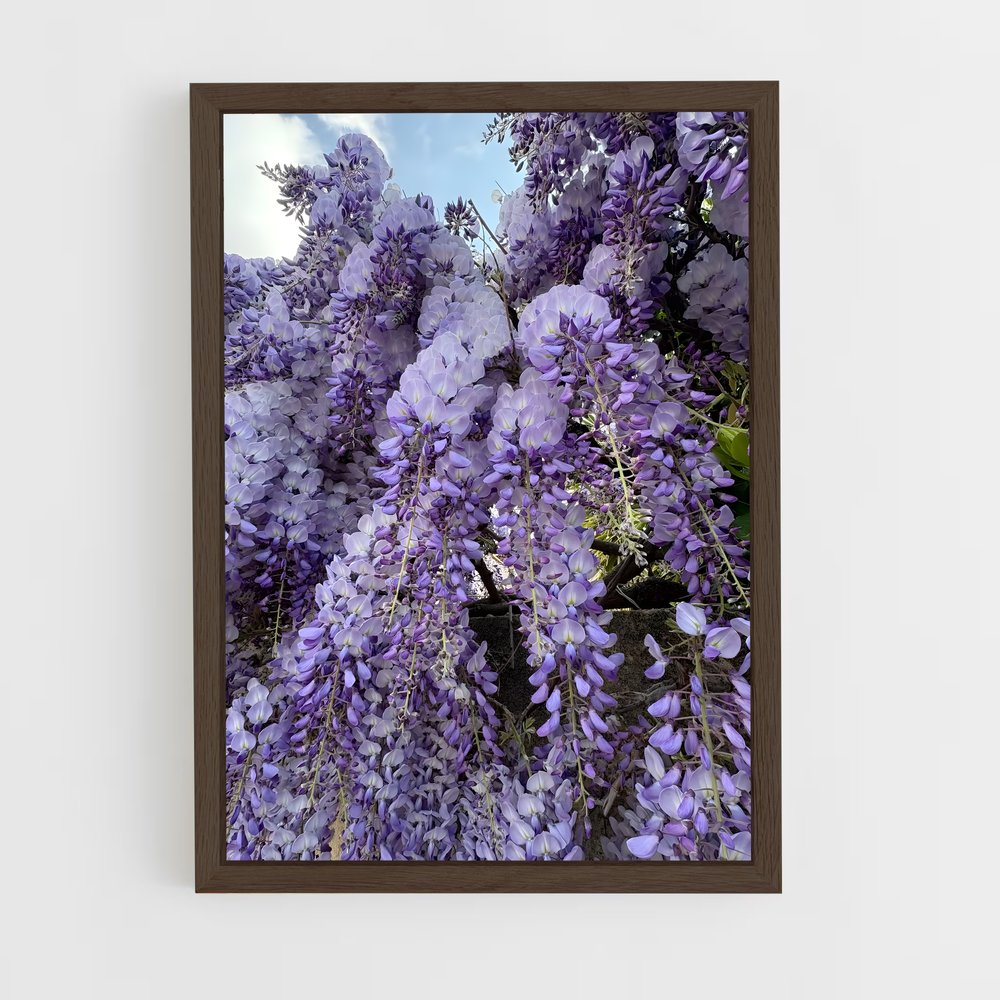 ap-wisteria-1 cadre Bois foncé
