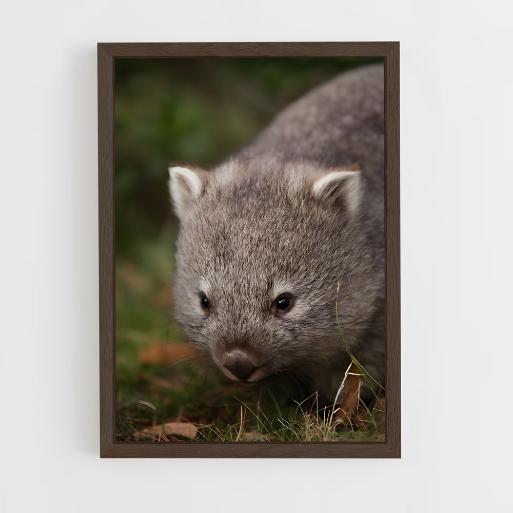 ap-wombat-5 cadre Bois foncé