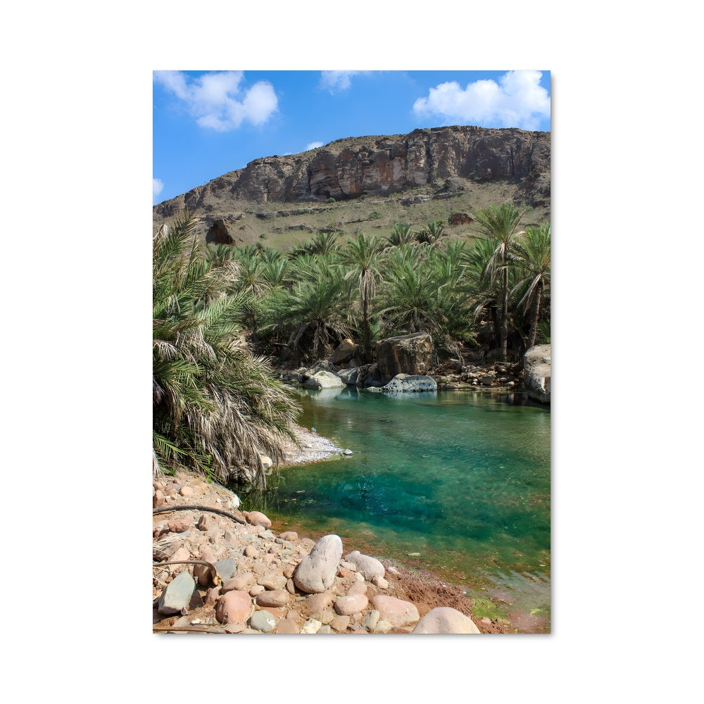 Poster Oasis Rocailleuse