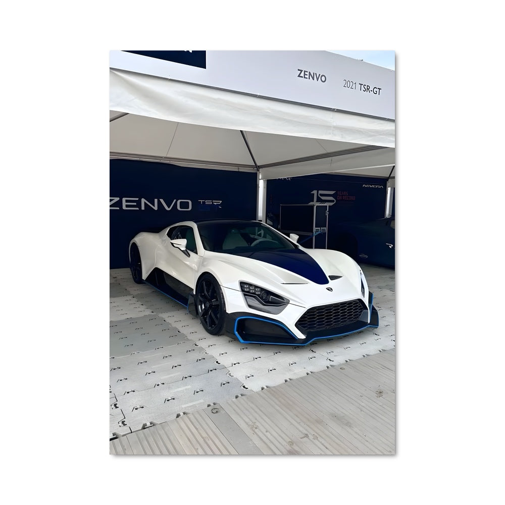 Poster Zenvo 79938