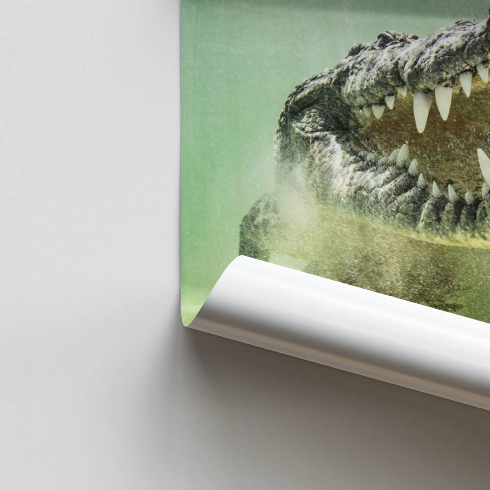 Póster Dentes de jacaré
