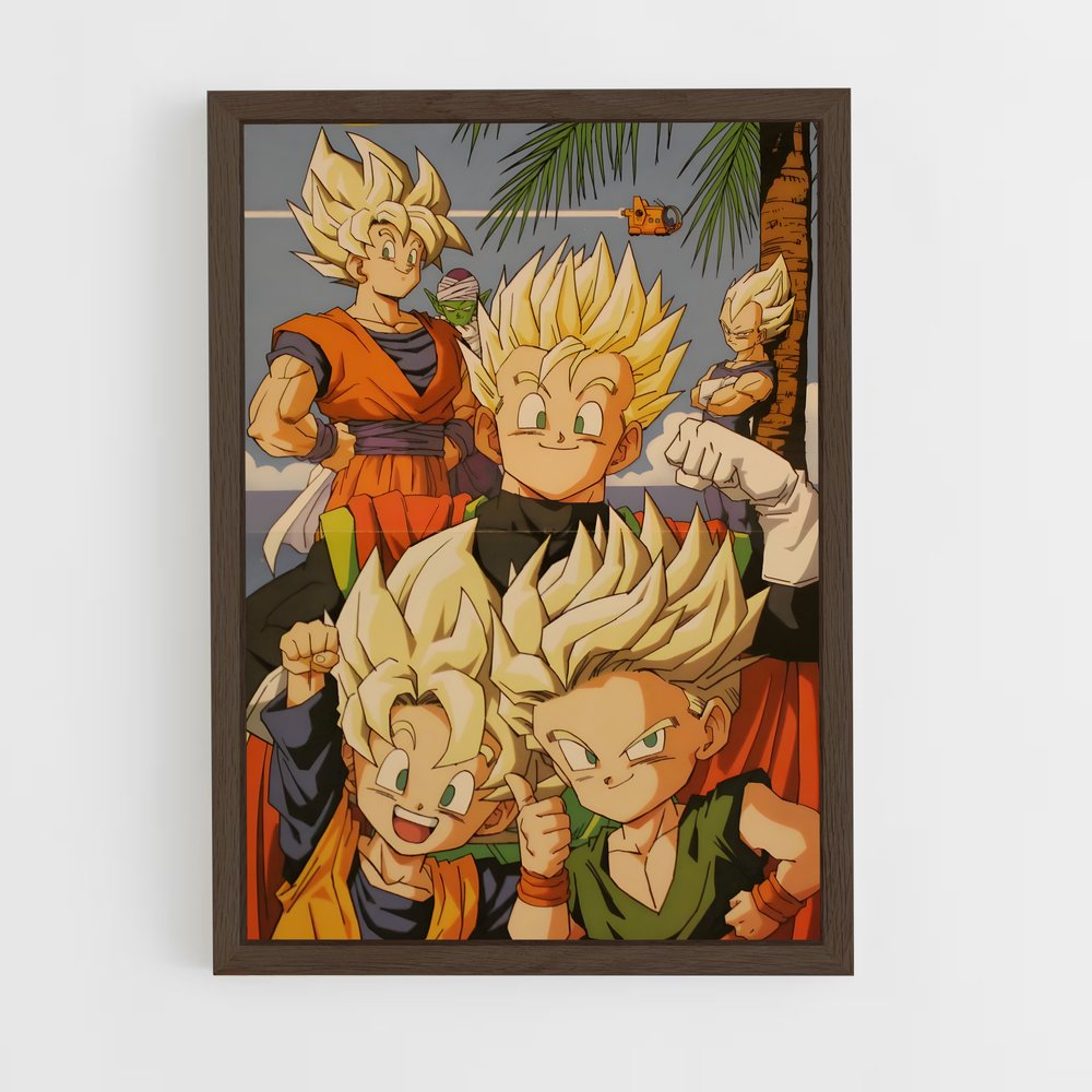 dragon-ball-11 cadre Bois foncé