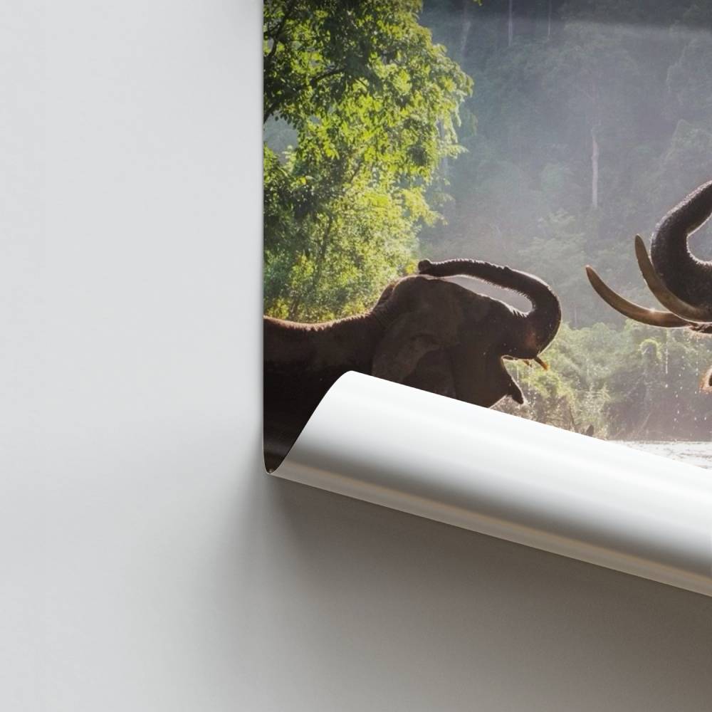 Póster Elefante Asiático