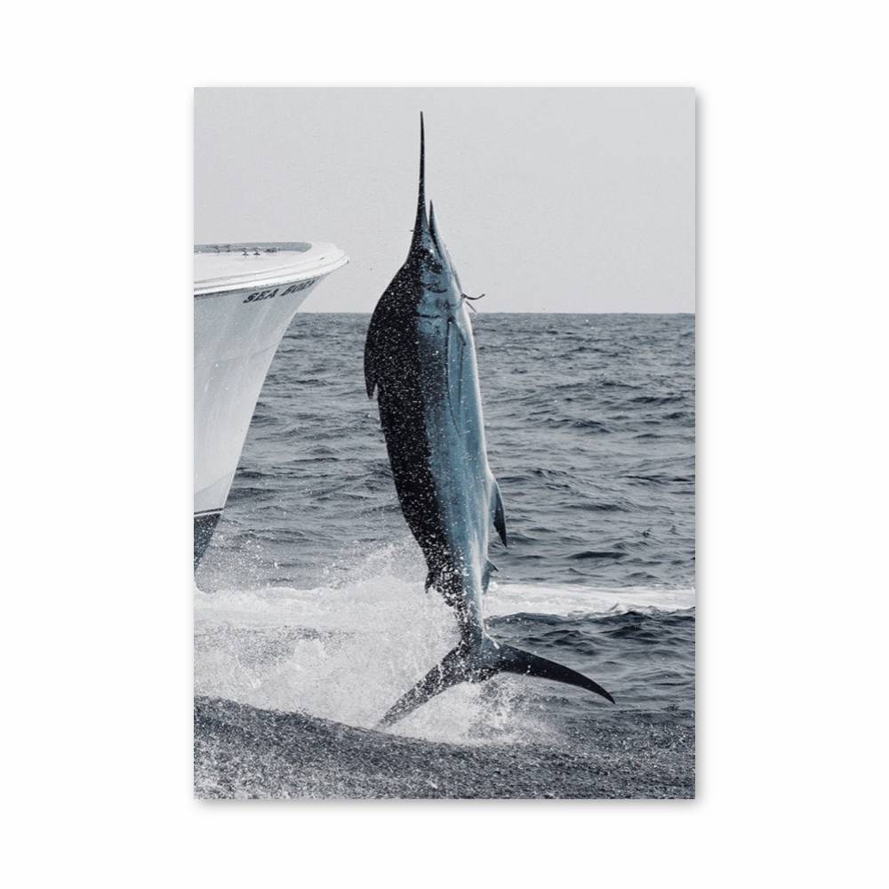 Poster Marlin en Plein Vol