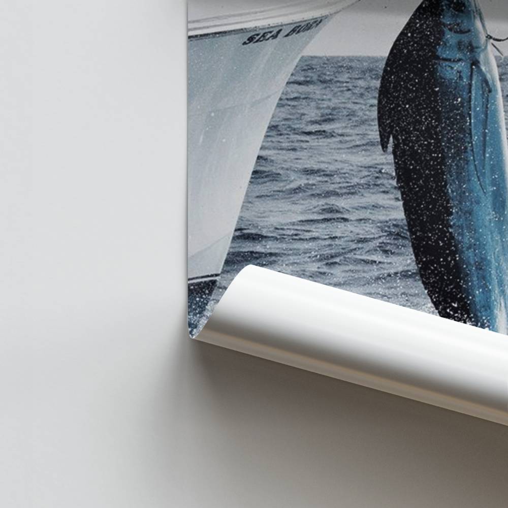 Poster Marlin en Plein Vol