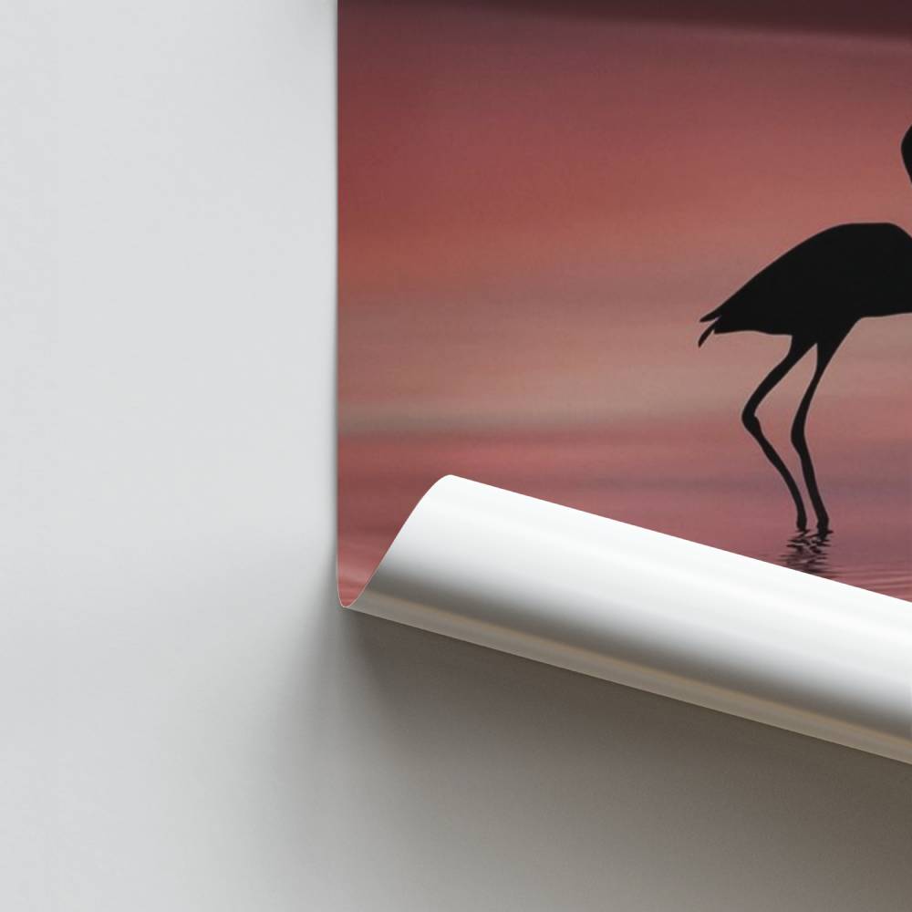 Pôster Romance Flamingo