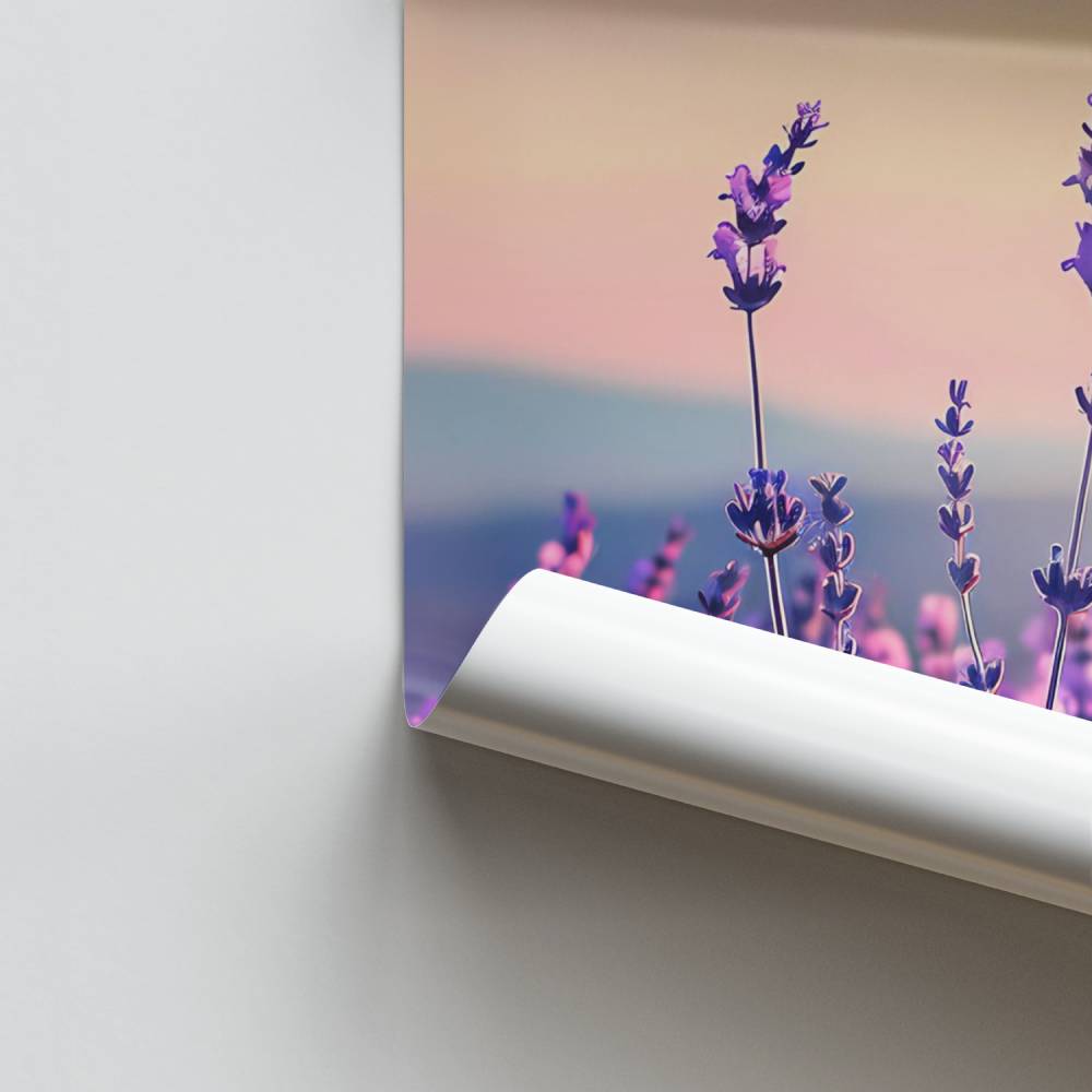 Póster Lavanda Crepuscular