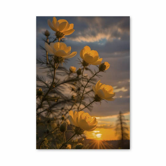 Poster Éclat du Crépuscule