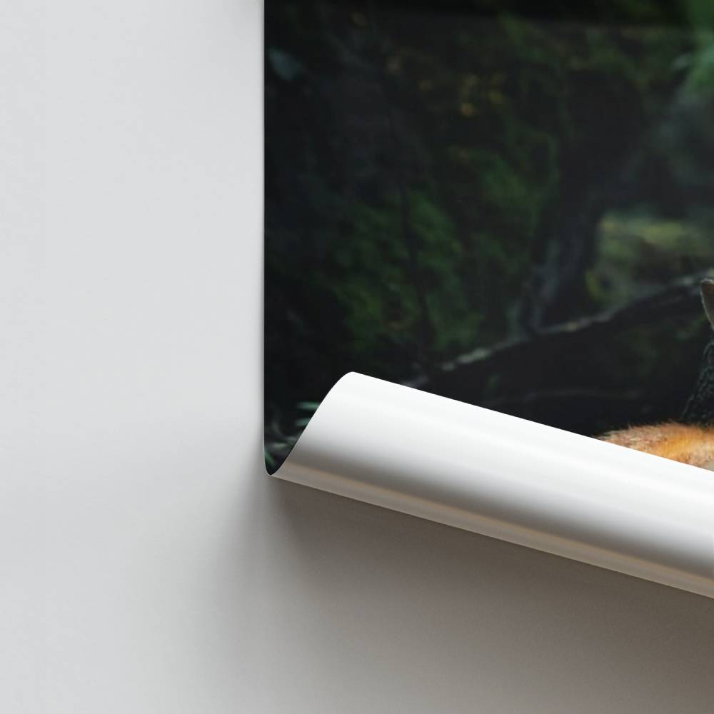 Póster Fox da floresta