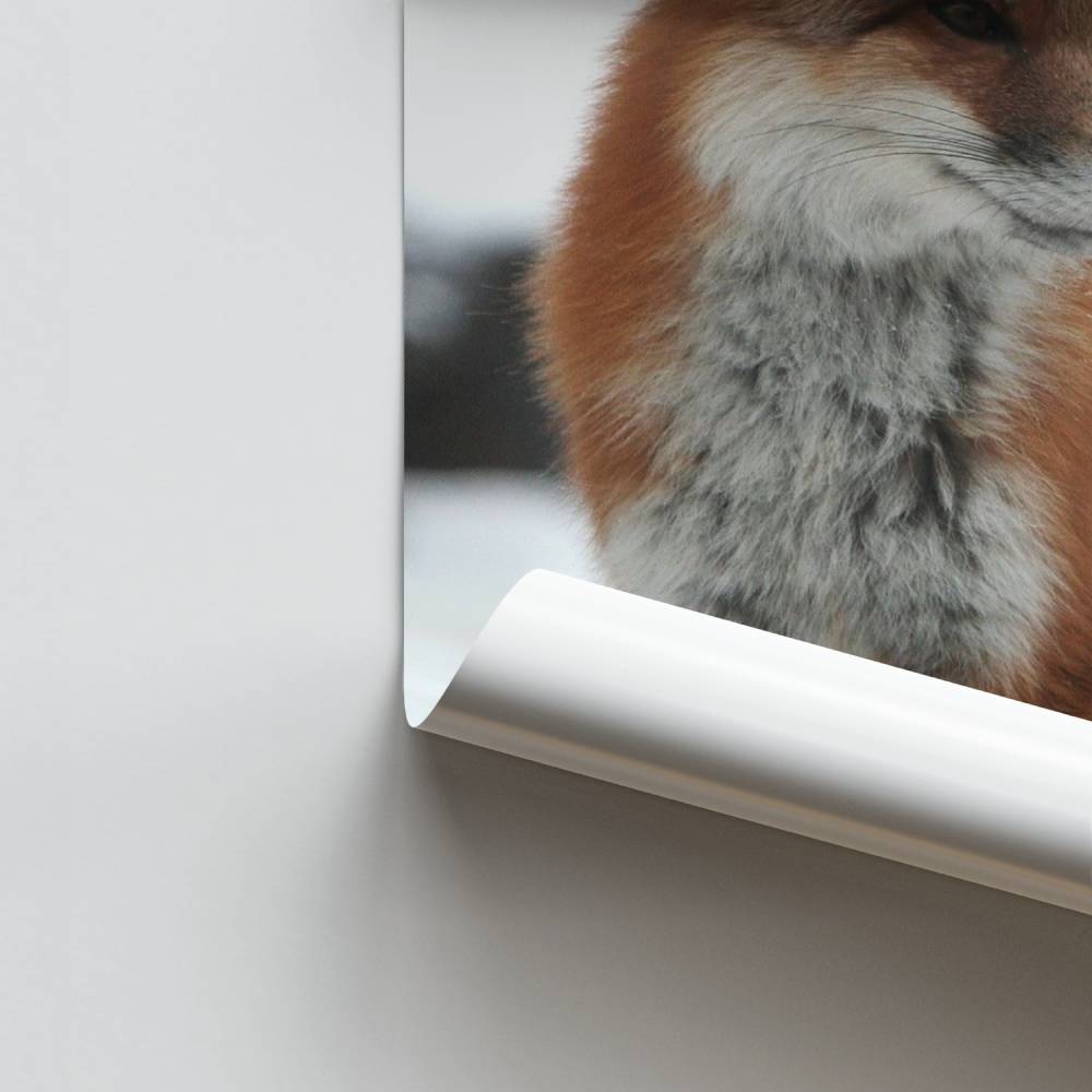 Pôster da Raposa Escarlate