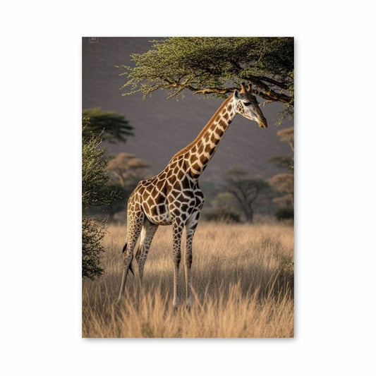 Poster Giraffe Serengeti