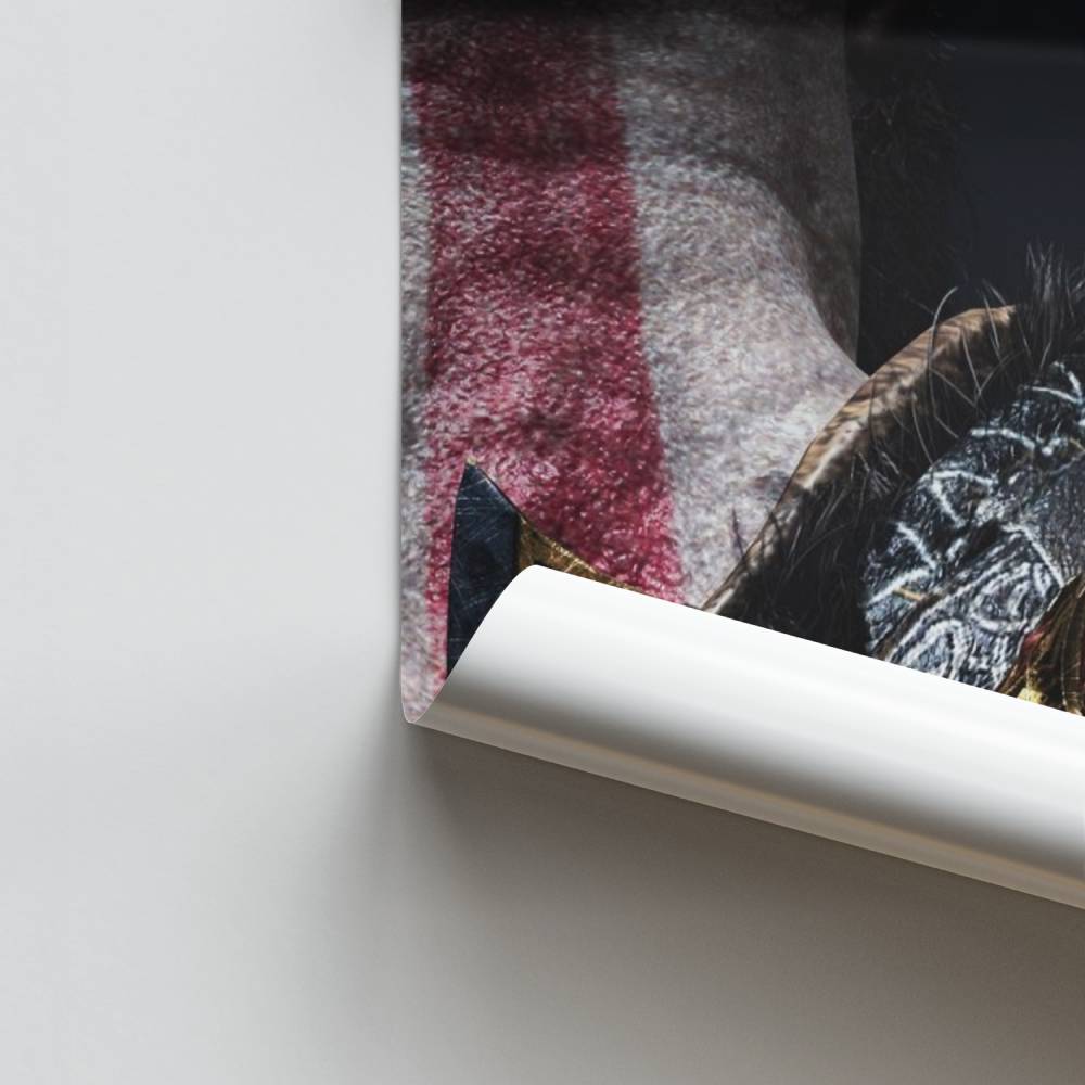 Pôster Guerreiro Nórdico