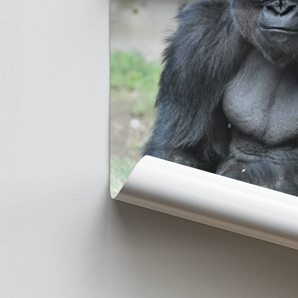 Pôster de poder selvagem