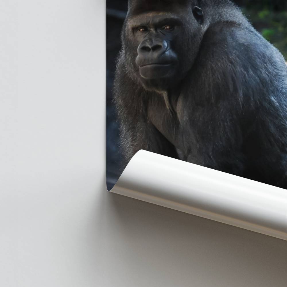 Pôster Força Primordial