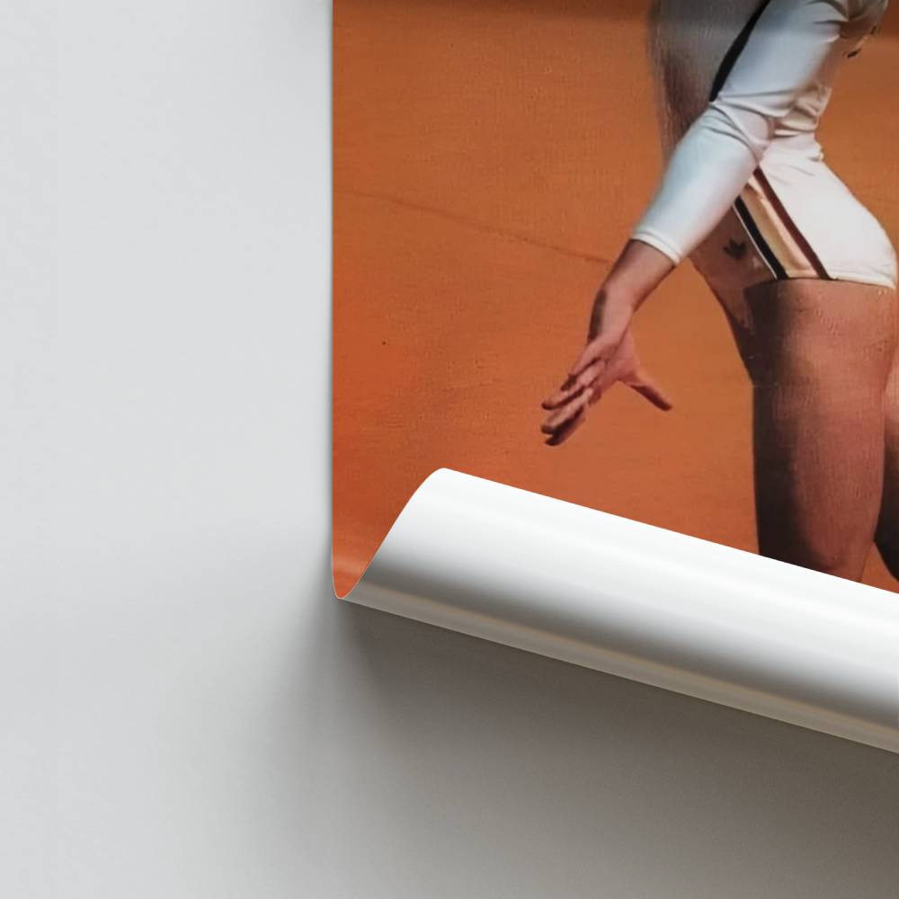 Pôster Equilíbrio Elegante