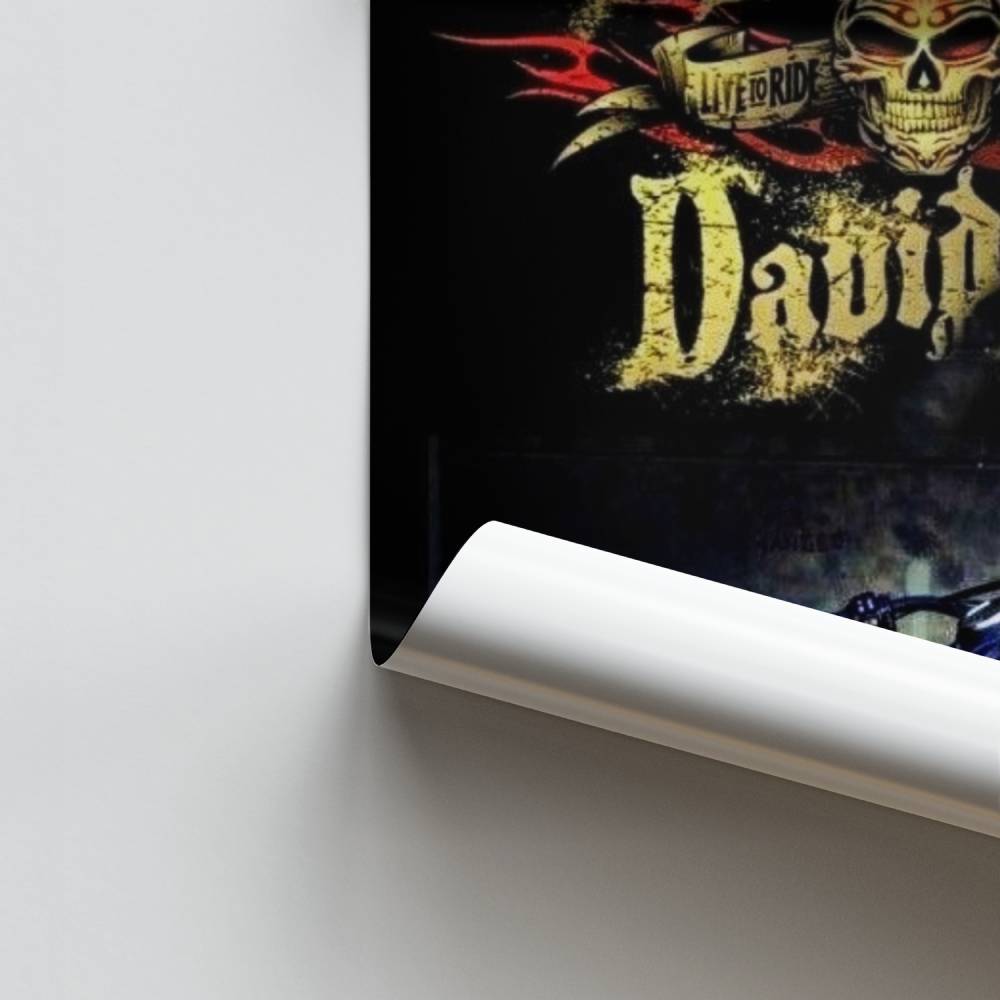 Pôster passeio selvagem