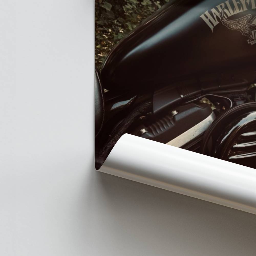 Pôster do espírito V-Twin