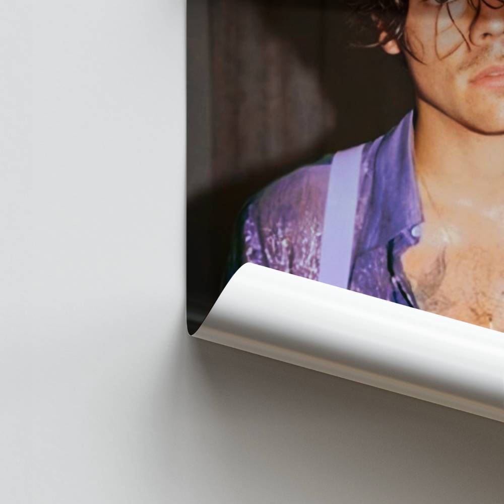 Pôster Camisa Harry Styles