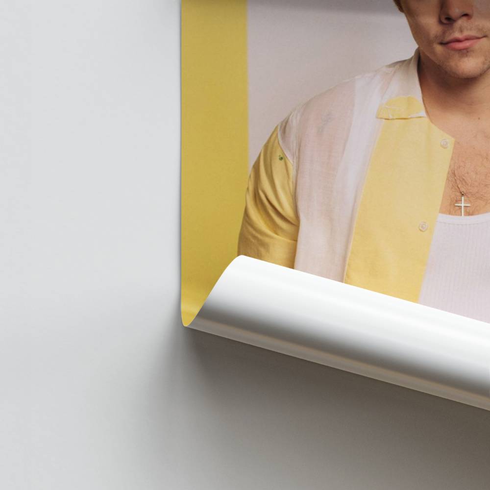 Pôster de moda de Harry Styles