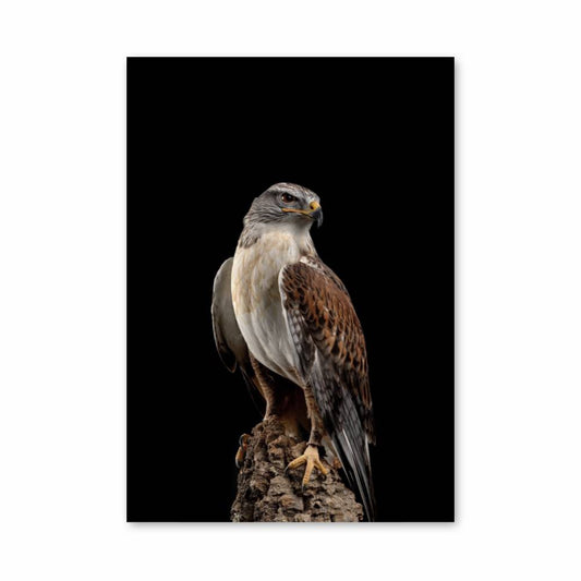 Poster Skateboarder Aérien