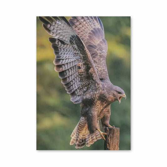 Poster Urban Skater Vibe