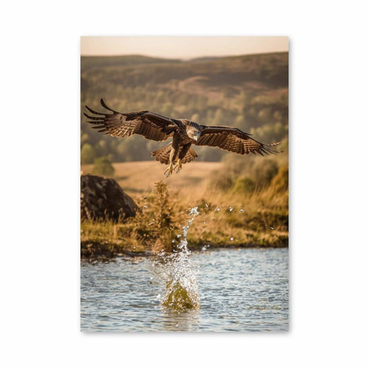Poster Skateboard Vert Aventure