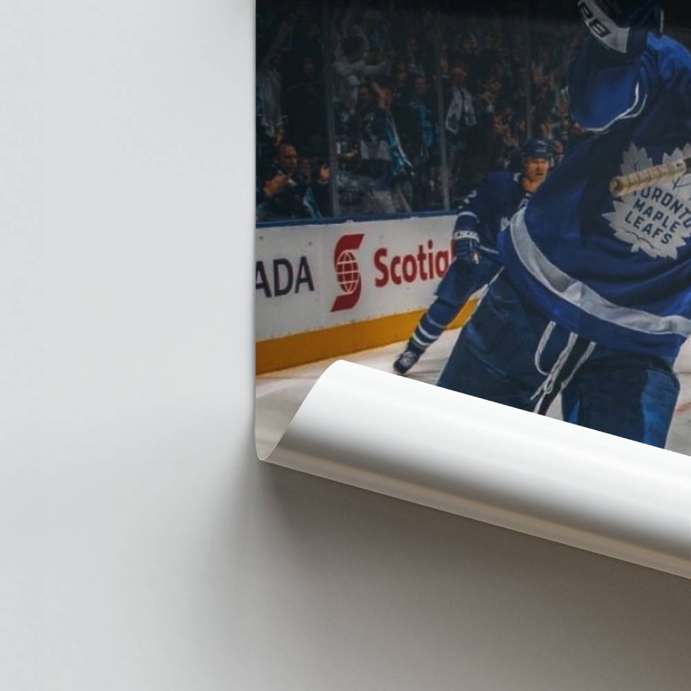 Pôster Glacial Façanha