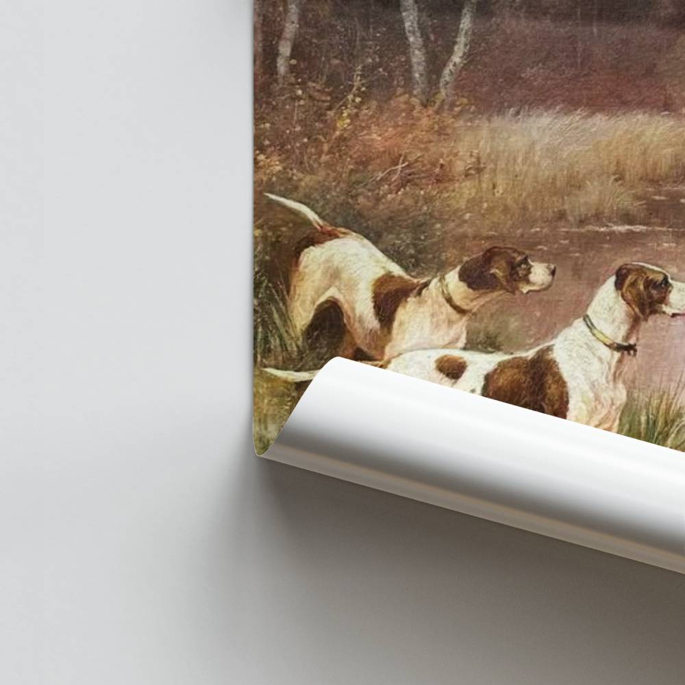 Poster Cães à beira da água