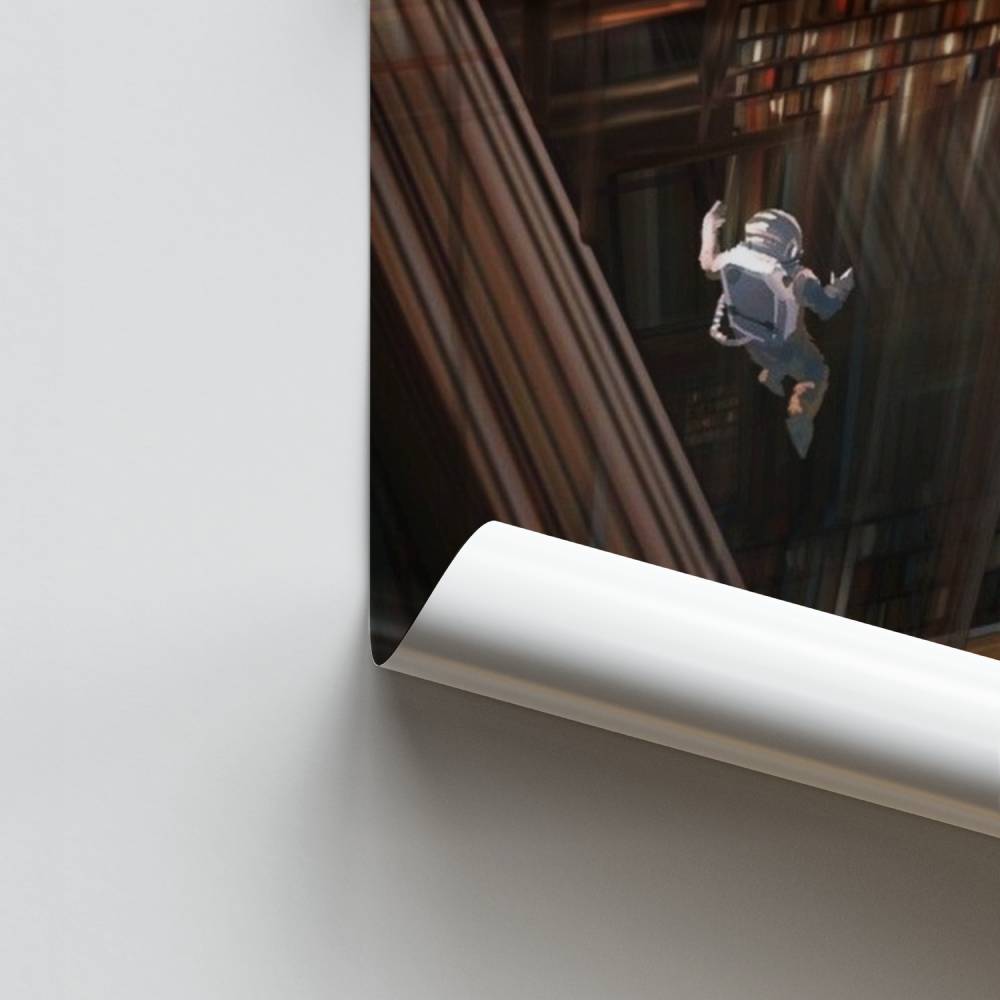 Pôster da Gravidade Cósmica