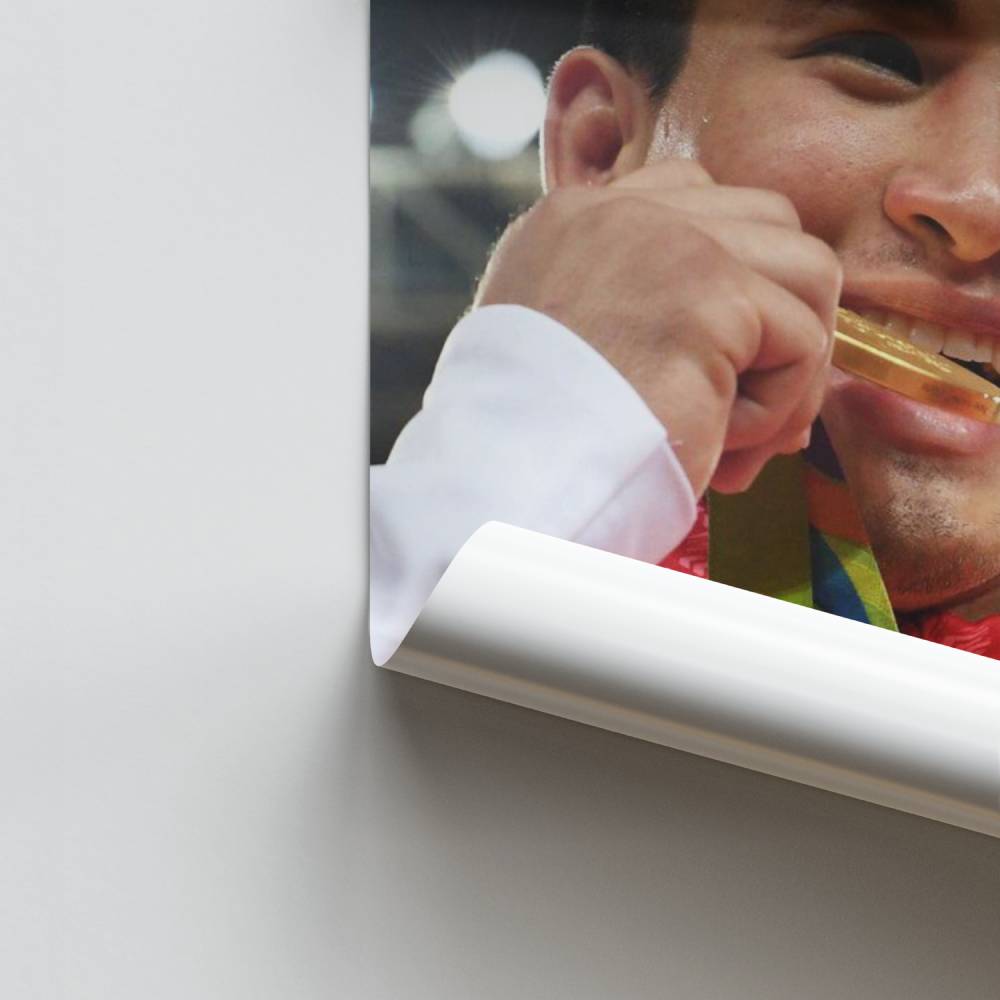 Pôster Triunfo Judô