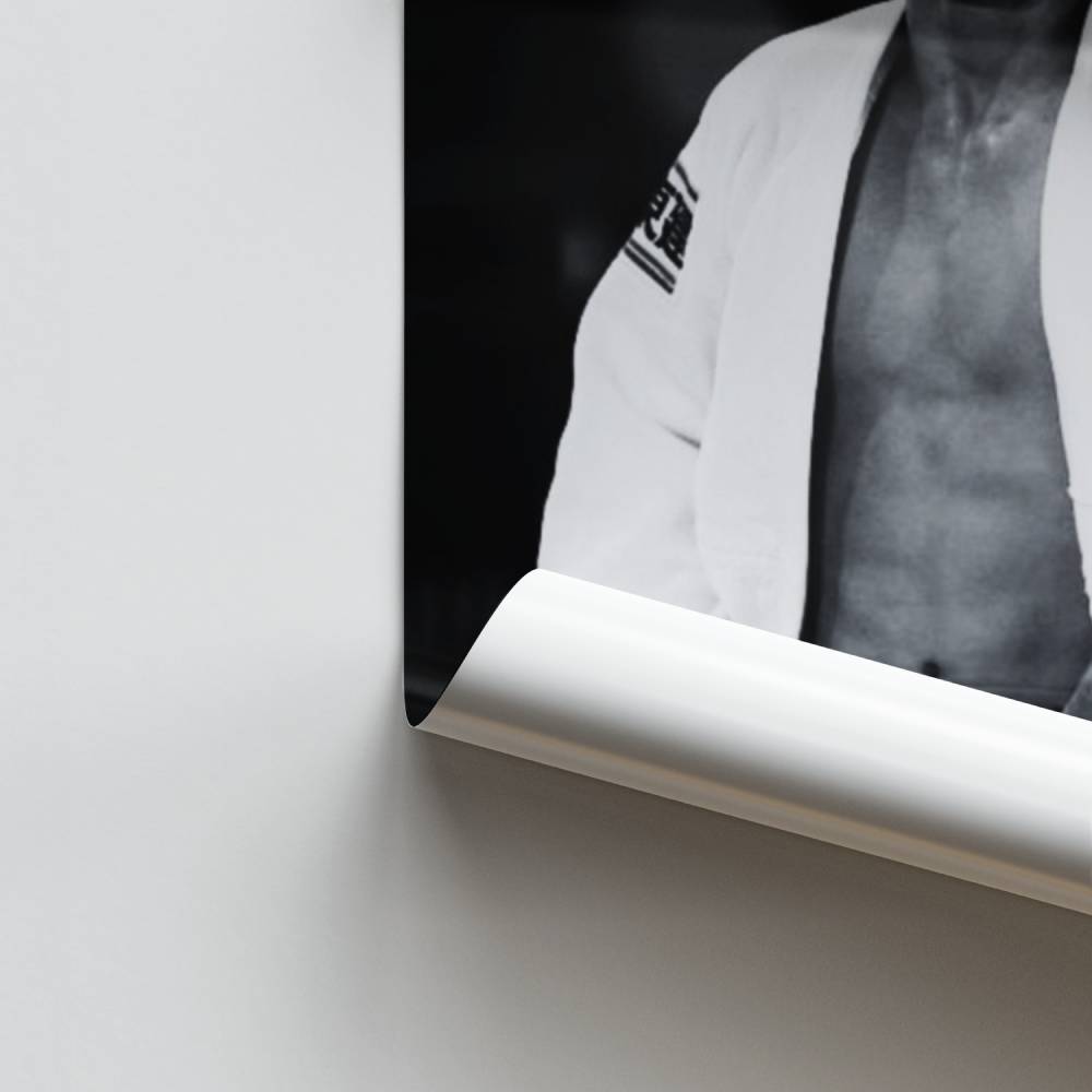 Pôster Espírito do Judô