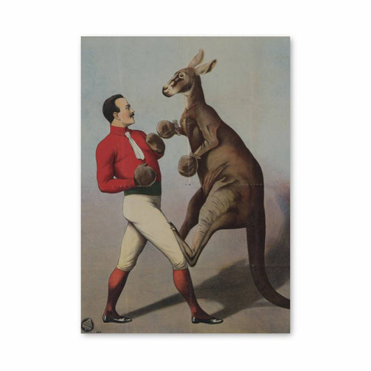 Poster Duel avec Kangourou