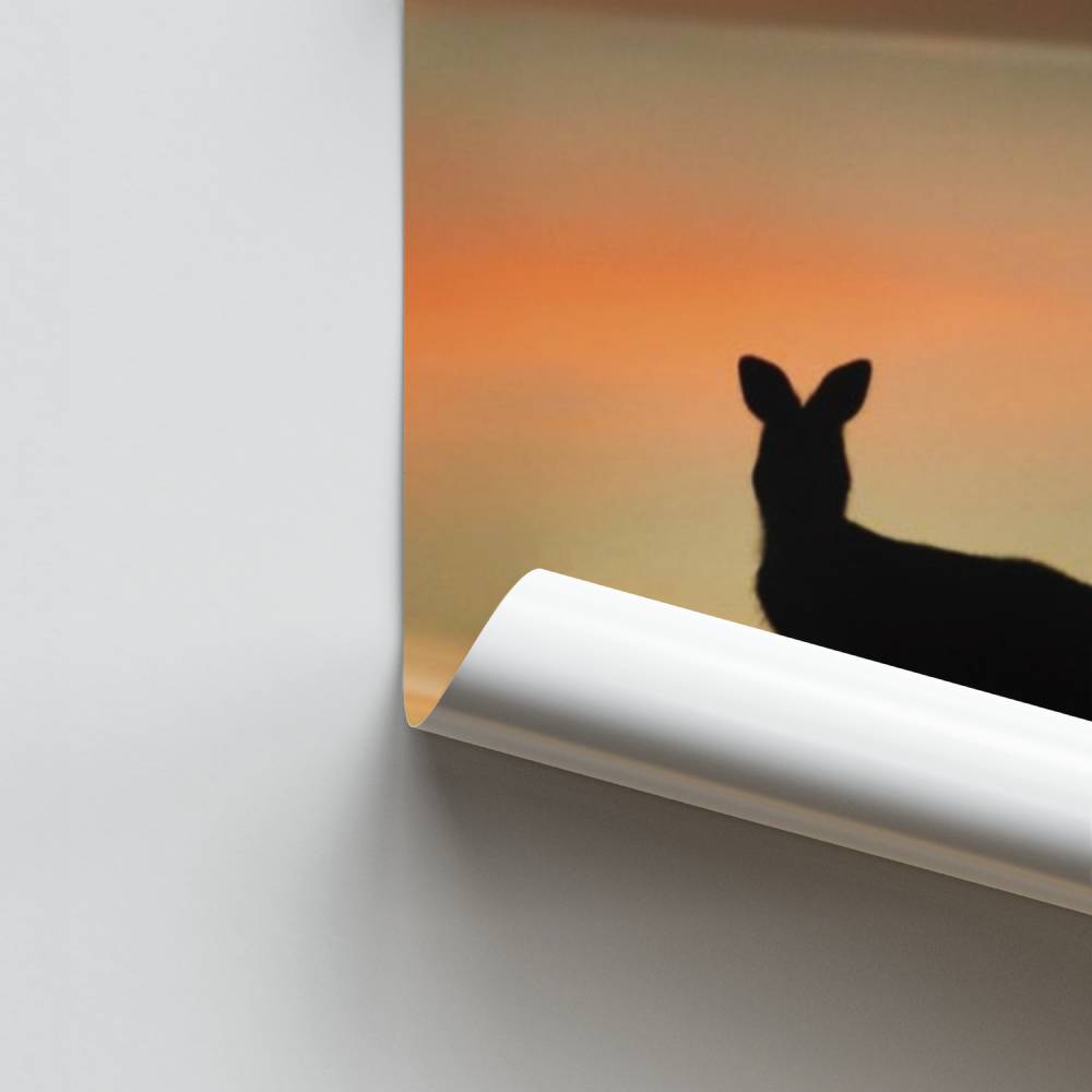 Póster Canguru do crepúsculo