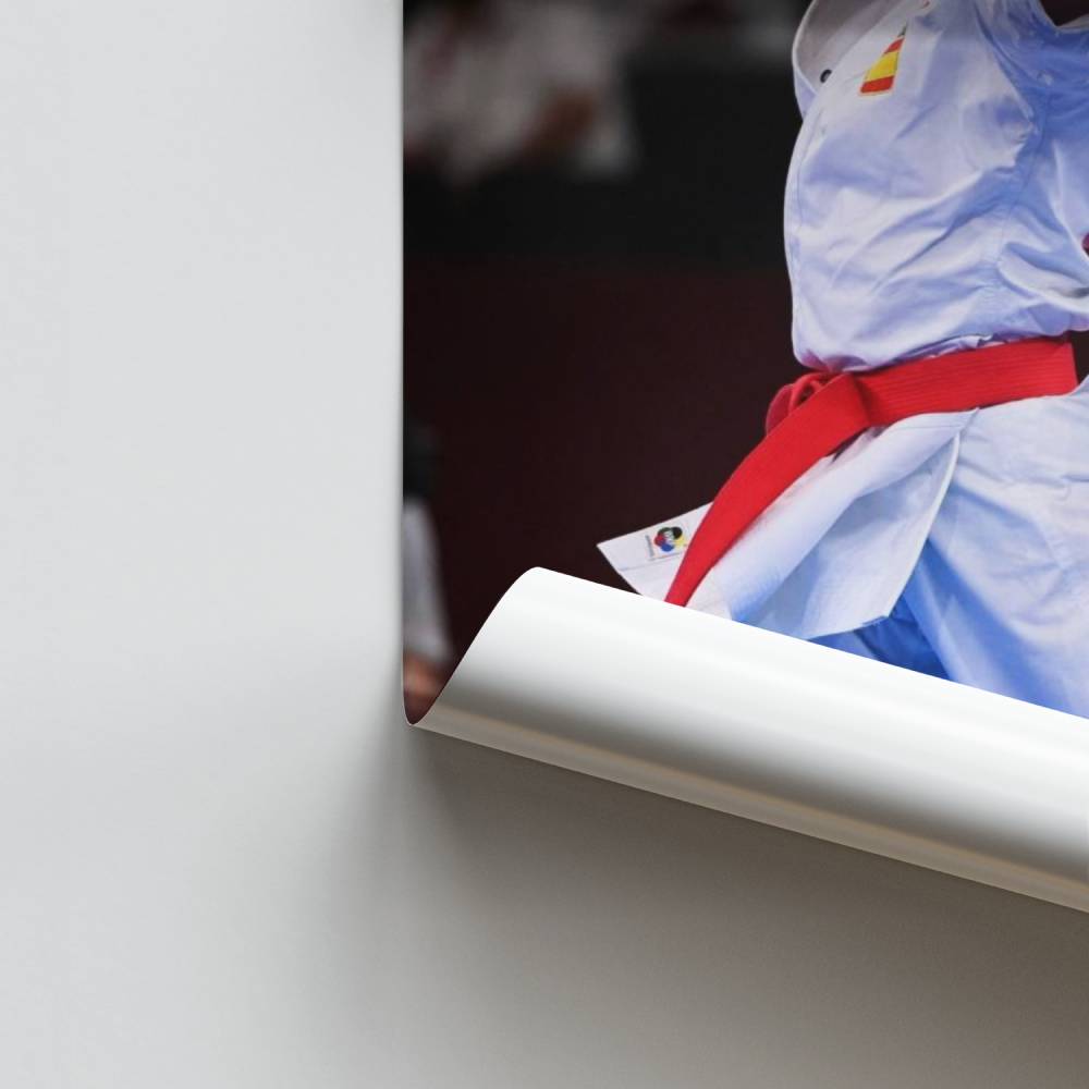 Pôster A Arte do Karatê