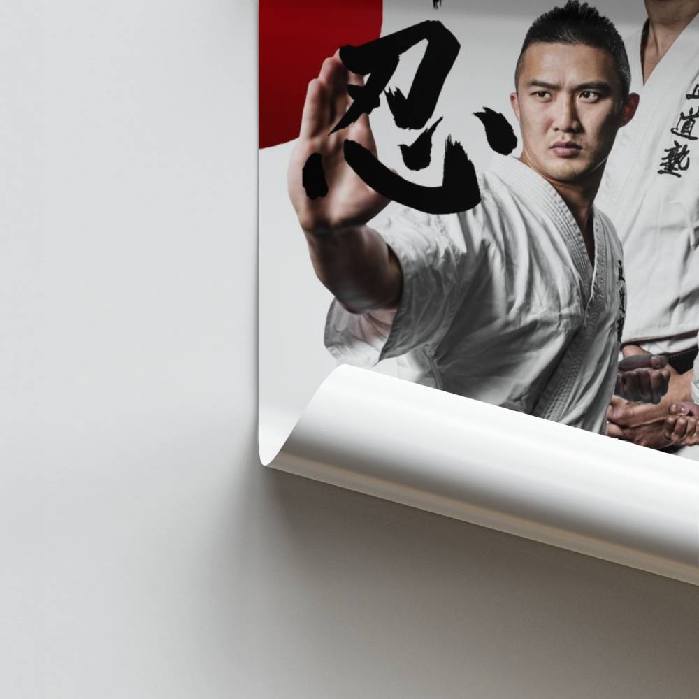 Pôster Início Difícil